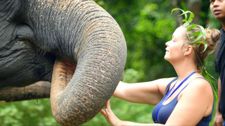 Khao Lak: Elephant Care Experience - Inclusions