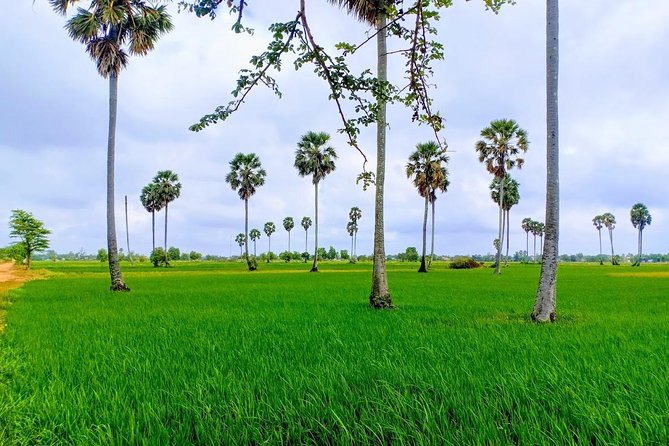 Killing Field & Paddy Rice Fields Bike Ride - Difficulty Level