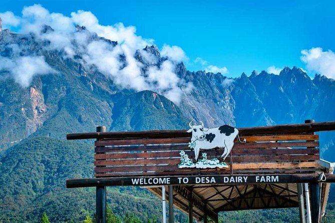 Kinabalu Park With Upside Down House & Cow Farm - Exploring Desa Cow Farm