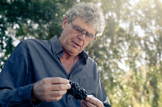 Kinross Winery: Valli Wine Tasting Experience - Accessibility Features
