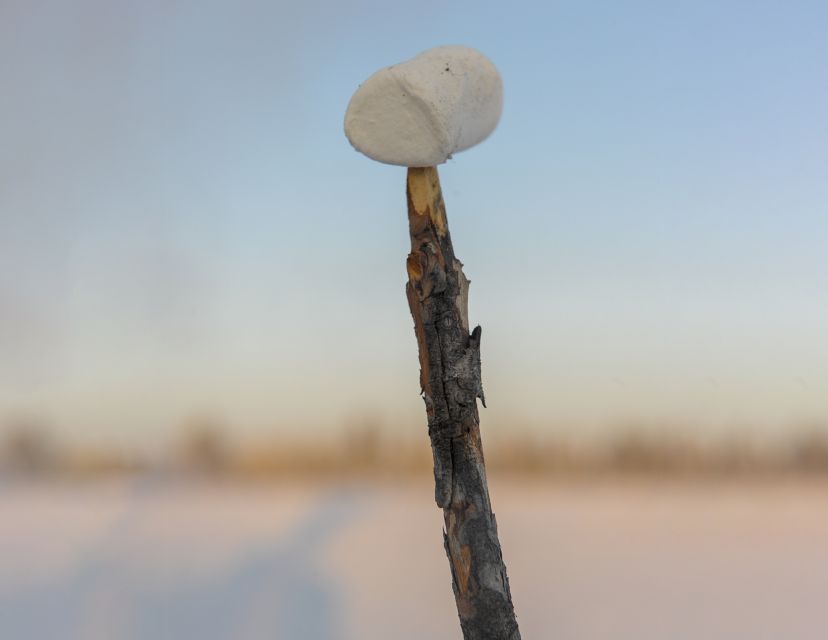 Kiruna: Snowshoe Hike & Ice Fishing Tour - Booking Information