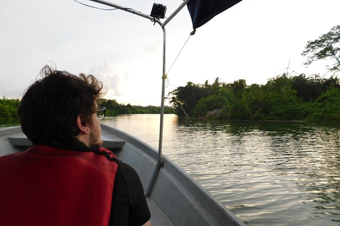 Klias Wildlife Safari River Cruise - Proboscis Monkey & Fireflies - Safari River Cruise Experience