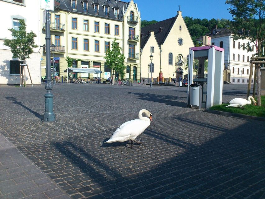 Koblenz: Private Guided Walking Tour - Historical Highlights