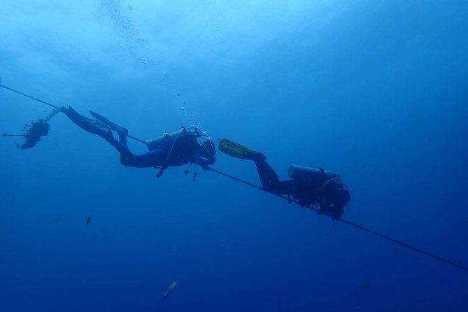 Koh Chang Dive Trip Including 3 Dives (Start at Koh Chang) - Pickup and Start Time