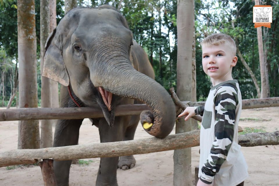 Koh Samui: Elephant Sanctuary Entry and Feeding Experience - Sanctuary Information