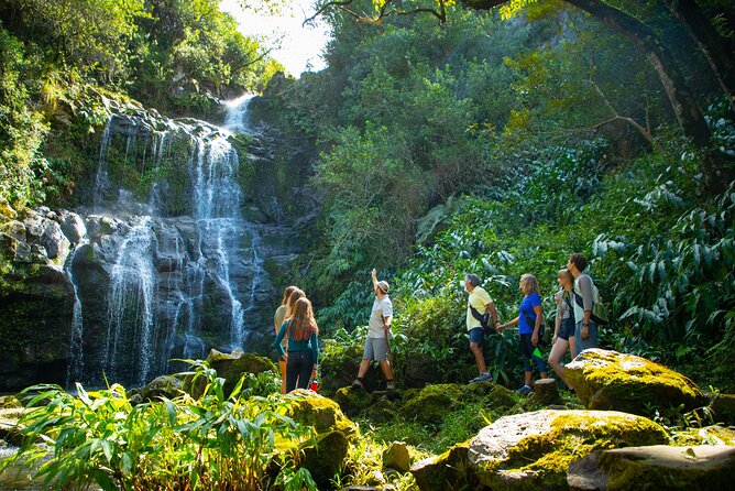 Kohala Waterfalls Small Group Adventure Tour - Hiking Experience