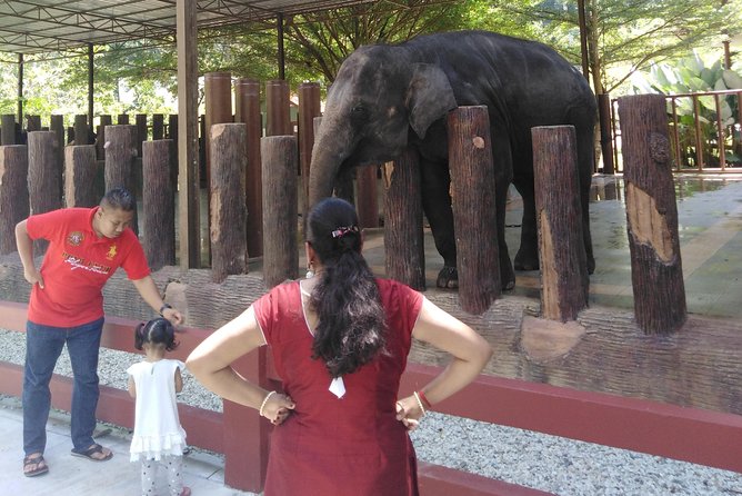 Kuala Gandah Elephant Sanctuary With a Batu Caves Visit - Exploring Batu Caves