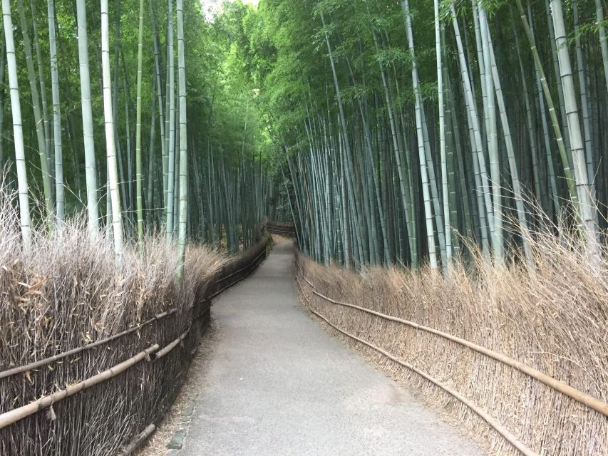 Kyoto, Arashiyama: Bamboo Grove Half-Day Private Guided Tour - Itinerary