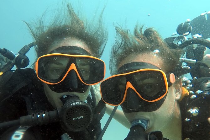 La Bombona Diving Koh Tao Try Dive - Pricing and Booking Information
