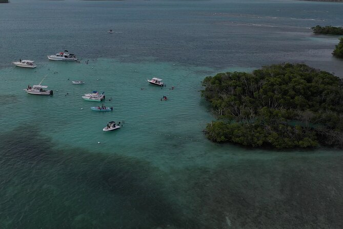 La Parguera Glowing Bioluminescent Bay Boat Tour From San Juan - Included Amenities