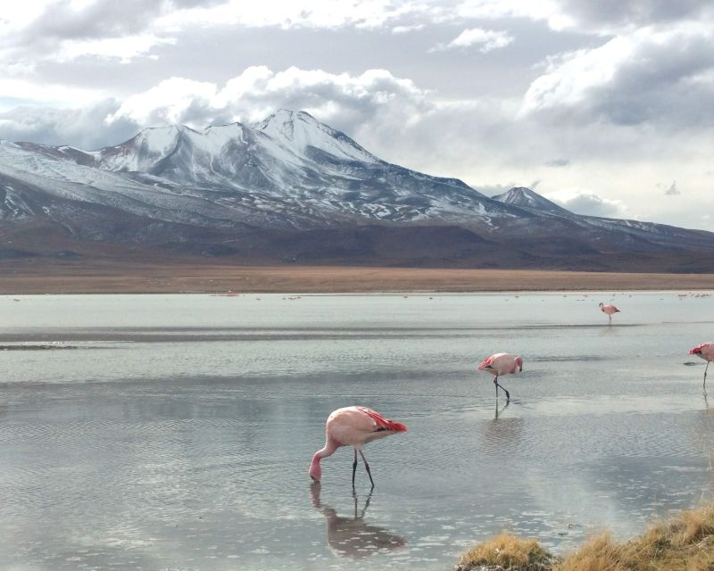 La Paz: 4-Day Uyuni & Colored Lagoons With Flight and Hotel - Detailed Itinerary