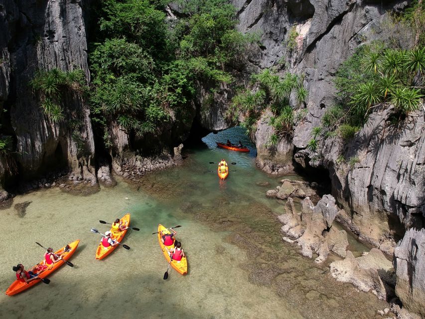 Lan Ha Bay: Kayaking and Cruise - Experience Highlights