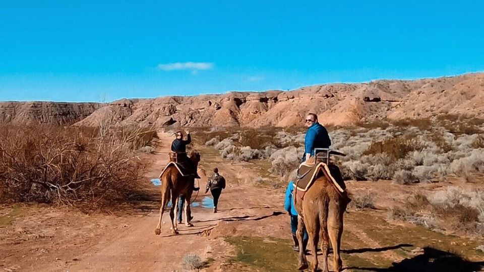 Las Vegas: Desert Camel Ride - Location and Directions