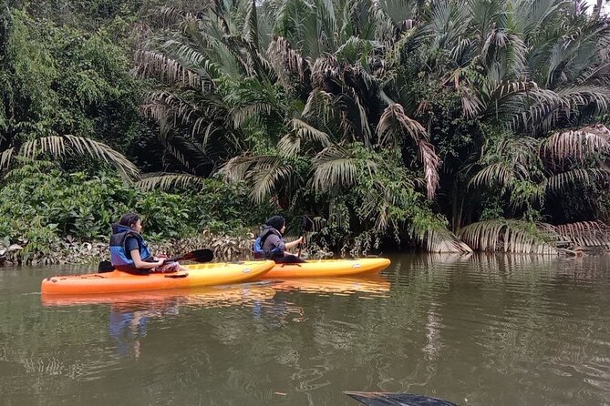 Lebam River Kayaking Adventure - Experience Highlights