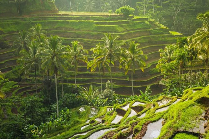 Lempuyang Temple and Bali Instagramable Tour - Pickup Locations and Information
