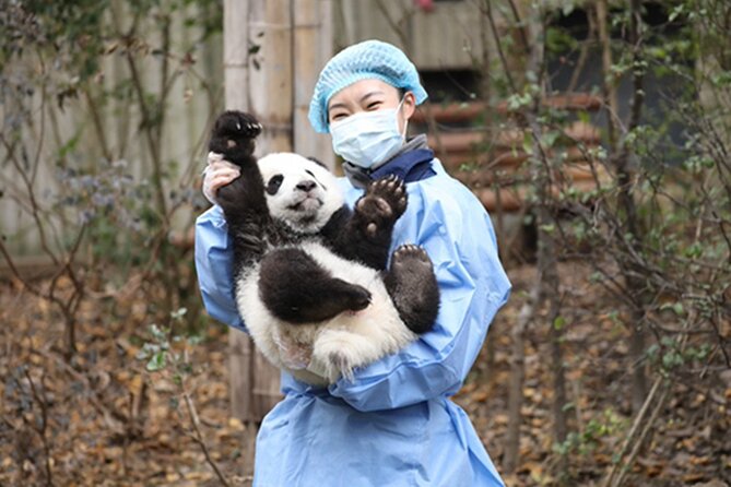 Leshan Buddha + Panda Base or Old Tea House Private Day Tour - Booking and Cancellation Details