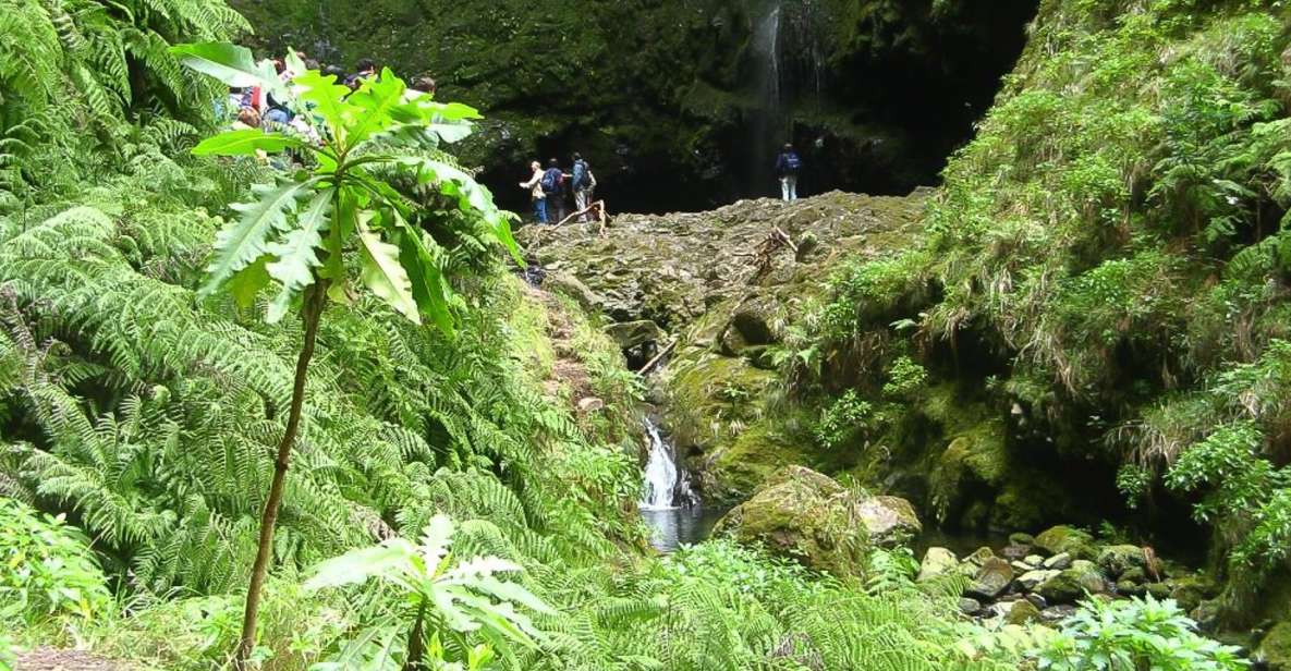 Levada Walk and Caldeirao Verde Waterfalls: Madeira - Experience Description