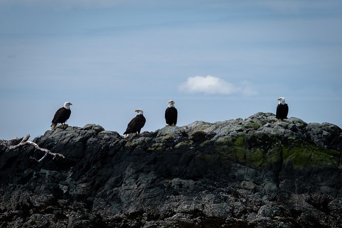 Lighthouse, Totems & Eagles Excursion - Scenic Highlights