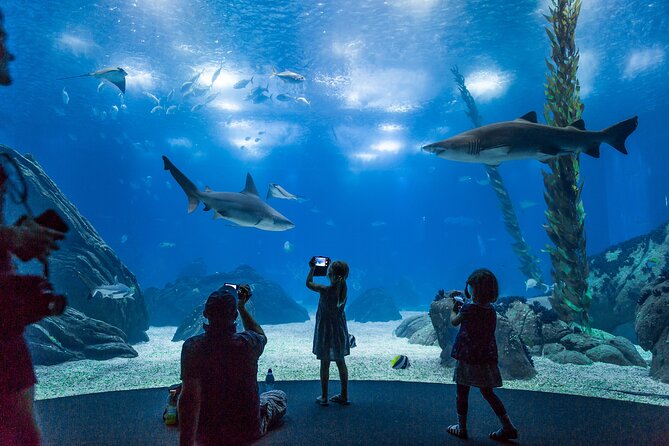 Lisbon Oceanario: Aquarium Entrance Ticket - Marine Habitats and Exhibits