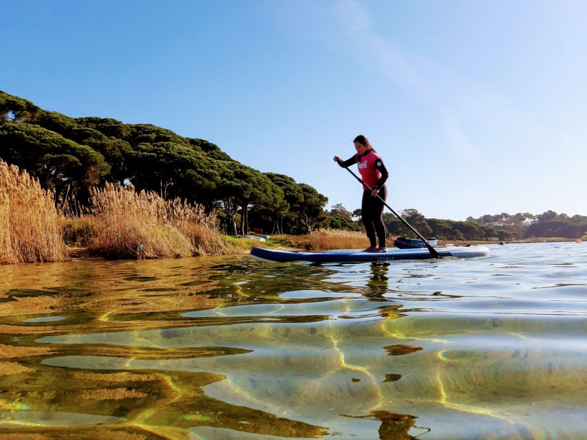 Lisbon: Stand Up Paddle Adventure at Albufeira Lagoon - Exploring the Diverse Lagoon