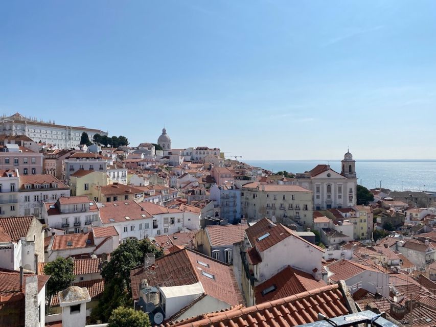 Lisbon: Walking Tour for Absolute Beginners - Exploring Trendy Neighborhoods