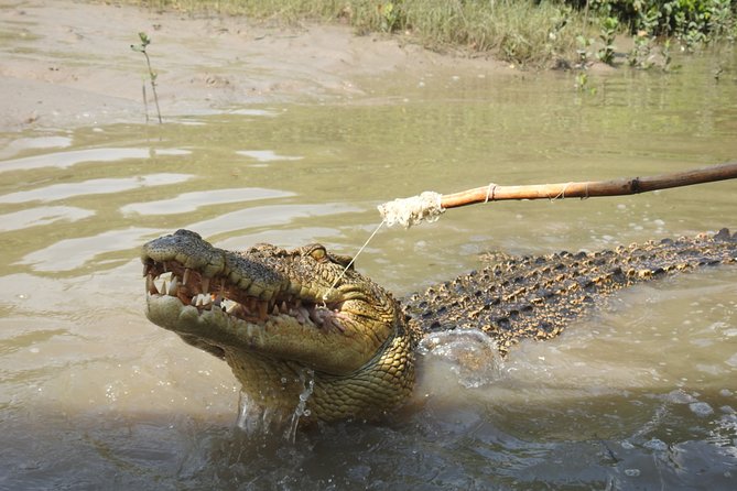 Litchfield and Jumping Crocodiles Full Day Trip From Darwin - Tour Highlights
