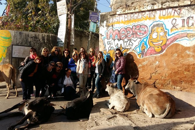 Local Sightseeing - Udaipur , Travel With Chinmay . - Whats Included in the Tour