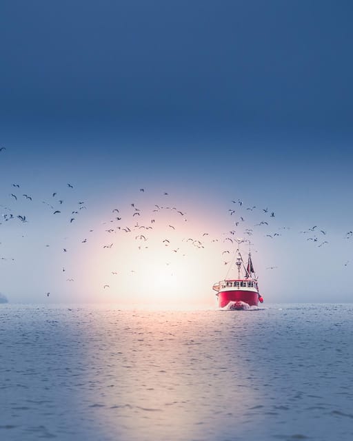 Lofoten in a Nutshell - 5 Hour Photography Sightseeing Tour - Cultural Insights