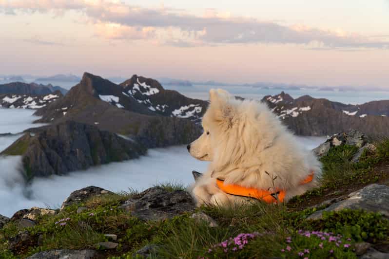 Lofoten Islands: Hiking Into the Wilderness - Guided Tour - Itinerary Details