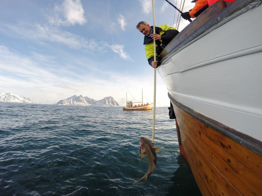 Lofoten: Traditional Fishing Trip - Inclusions and Requirements