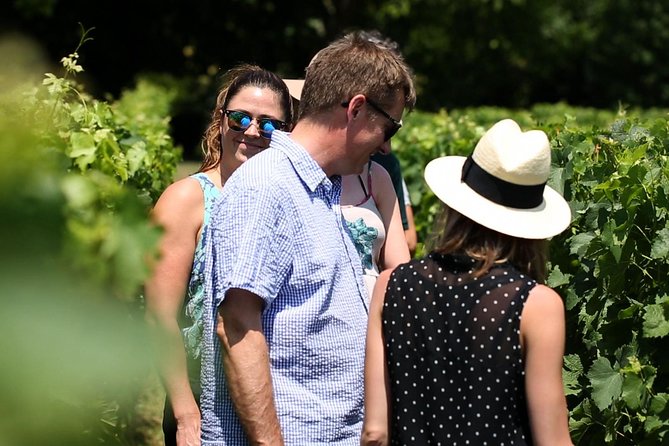 Loire Valley Half Day Wine Tour From Tours : Vouvray Wine Tasting - Meeting Point and Schedule