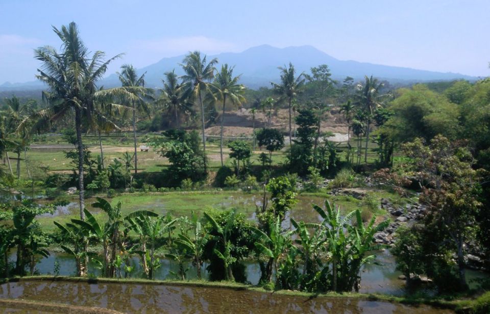 Lombok Rice Field Walking Tour - Highlights