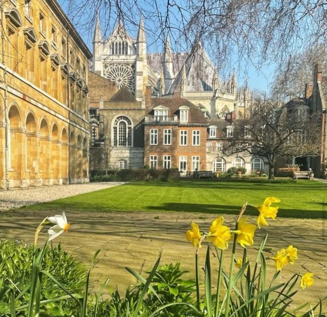 London: Guided Walking Tour With Changing of the Guard - Tour Highlights and Sights