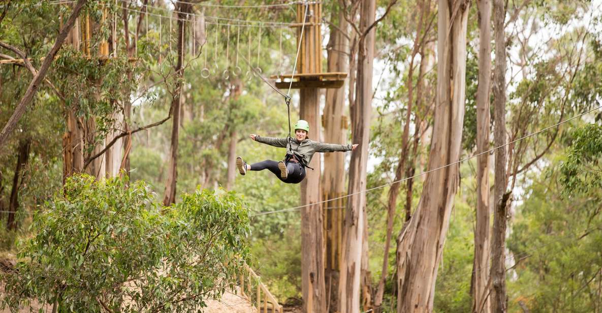 Lorne: Live Wire Park Super Circuit Ticket - Booking Information