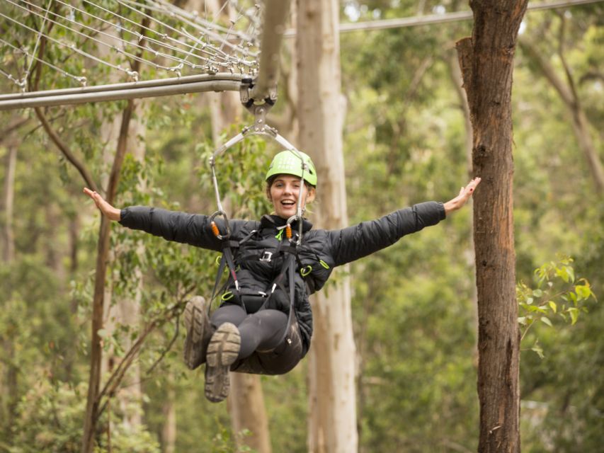 Lorne: Live Wire Park Ticket With Zip Line Rollercoaster - Instructor & Highlights