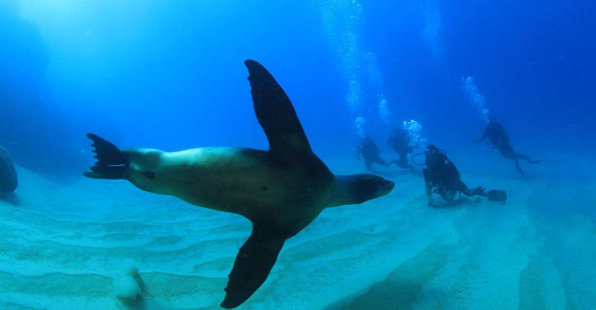 Los Cabos 3-Hour Certified Scuba Diving Tour - Dive Sites