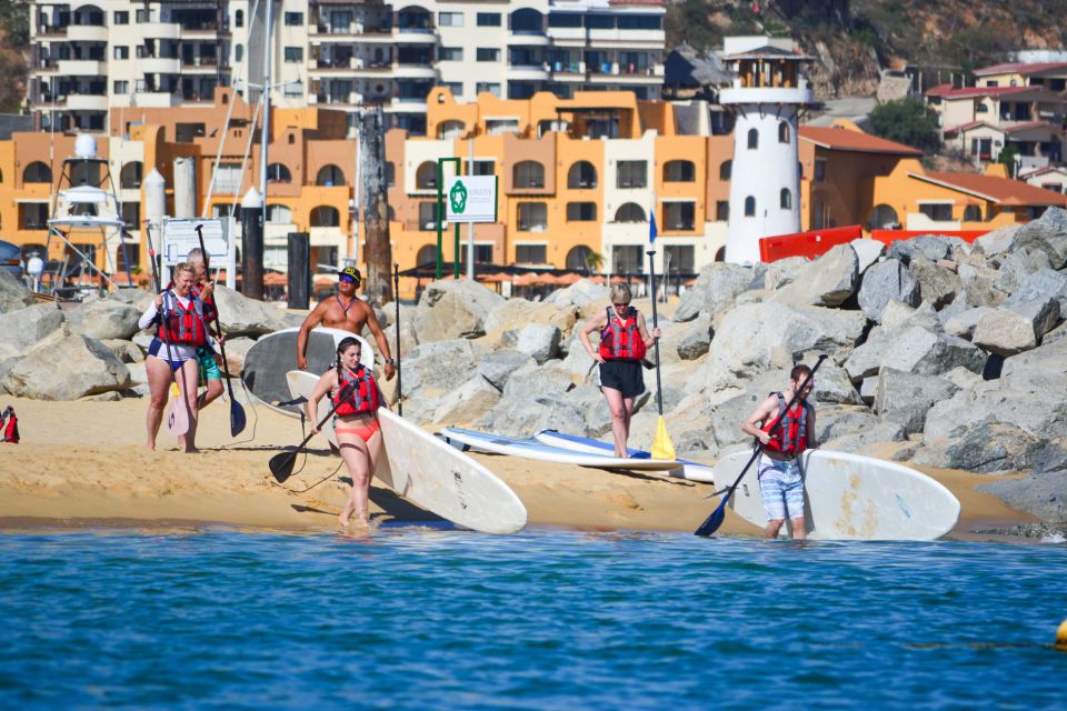 Los Cabos: Private Paddleboarding and Snorkeling Tour - Pickup and Transportation