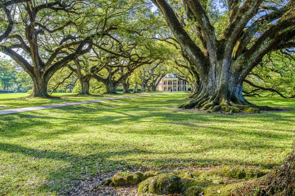 Louisiana Plantation Country Half-Day Tour - Plantation Choices