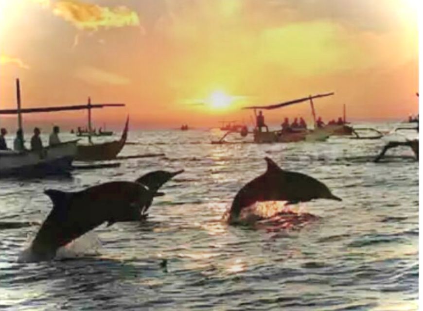 Lovina: Dolphins Experience With Snorkeling or Swimming - Inclusions