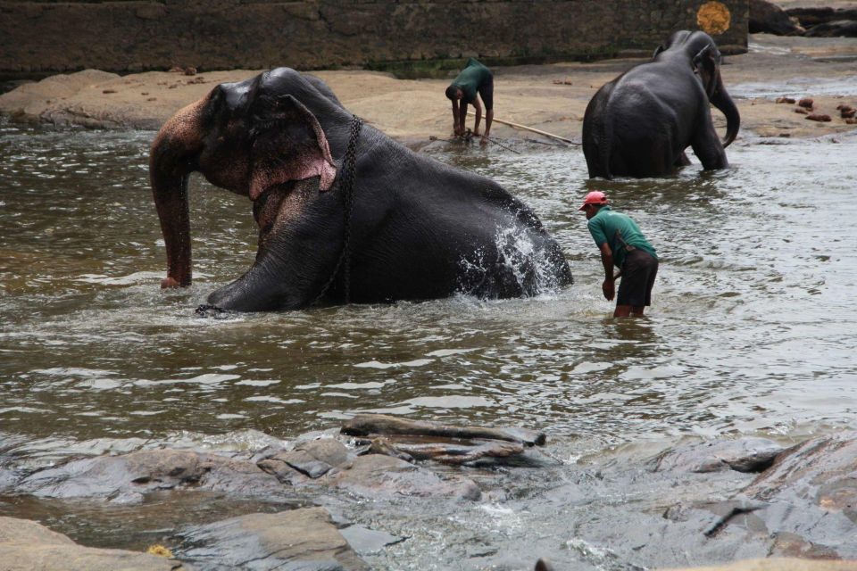 Luang Prabang Elepphant Keeper Bathe Option Kuangsi Tour - Itinerary Details