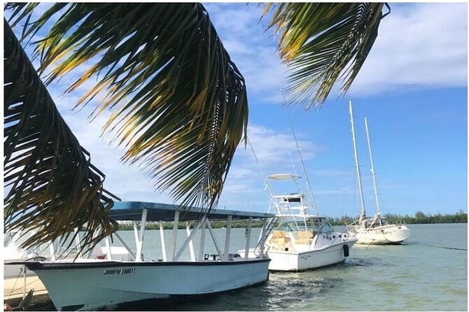 Luminous Lagoon Dark Night Tour From Ocho Rios and Runaway Bay Hotels - Customer Experiences
