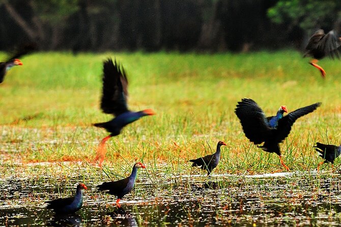 Lung Ngoc Hoang Nature Reservation - Meeting and Pickup Details