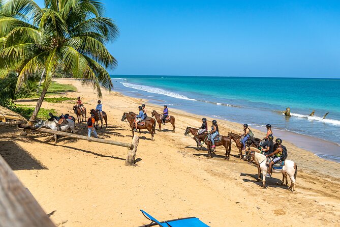Luquillo Beach Horse Ride From Carabalí Rainforest Adventure Park - Complimentary Parking and Local Guide