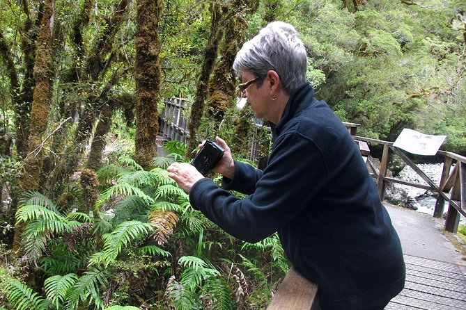 Luxury Milford Sound Coach and Scenic Cruise - Itinerary and Highlights