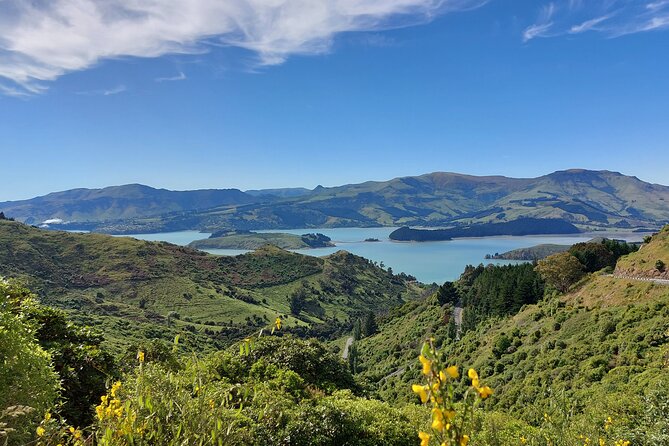 Lyttelton Shore Excursion: Christchurch Sights With Willowbank Wildlife Reserve - Itinerary Highlights