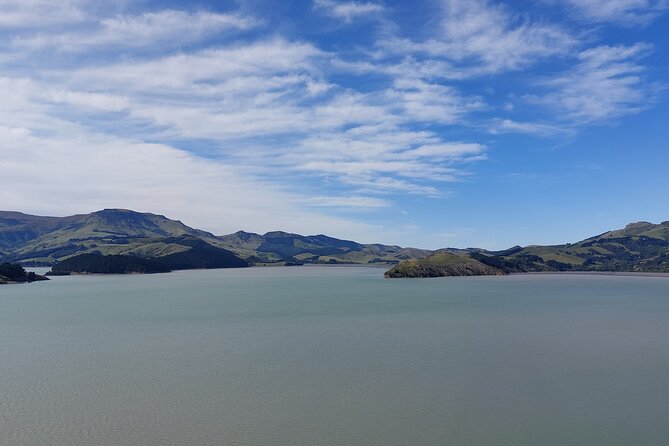 Lyttelton Shore Excursion: Christchurch Sightseeing With Antarctic Center - Itinerary and Schedule