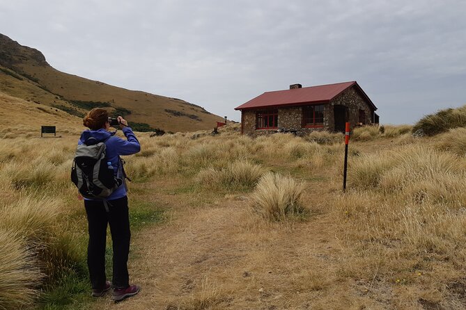 Lyttelton Shore Excursion -Guided Hiking Tour Packhorse Hut - Transportation Details