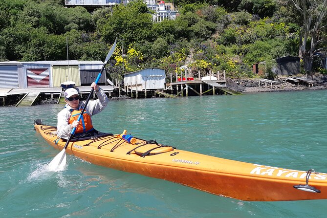 Lyttelton Shore Excursion - Sea Kayaking, Quail Island & Harbour - Meeting and Departure Points