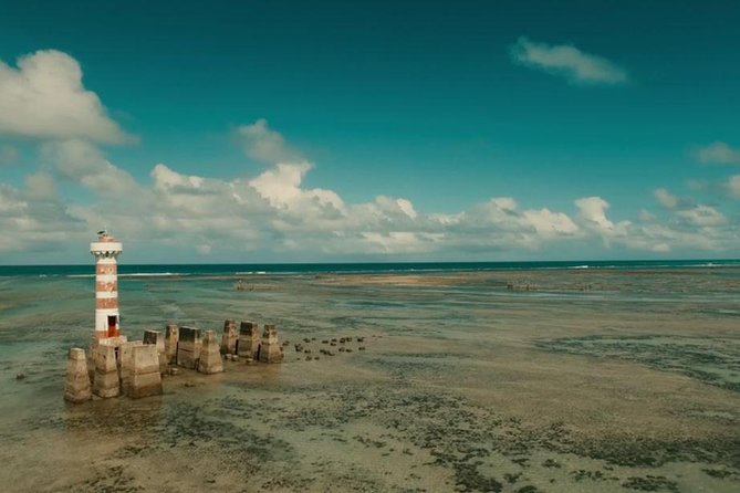 Maceió City Tour With Barra De São Miguel - Leaving Maceió by WS Receptivo - Inclusions and Amenities