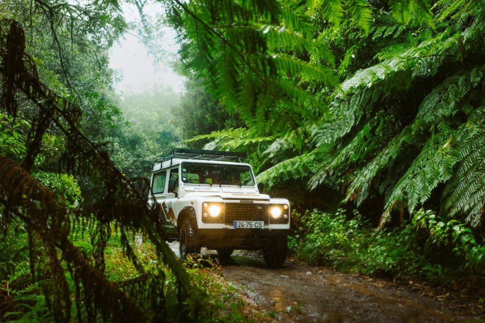 Madeira : East Side - Santana Highlights 4x4 Experience - Pricing and Booking